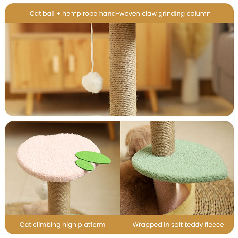 my-11134207-7rasb-mbggcume0d7r3b