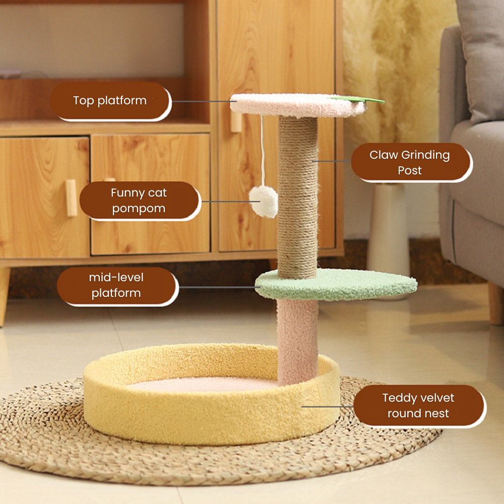 my-11134207-7ras9-mbggcutlpt5zdc