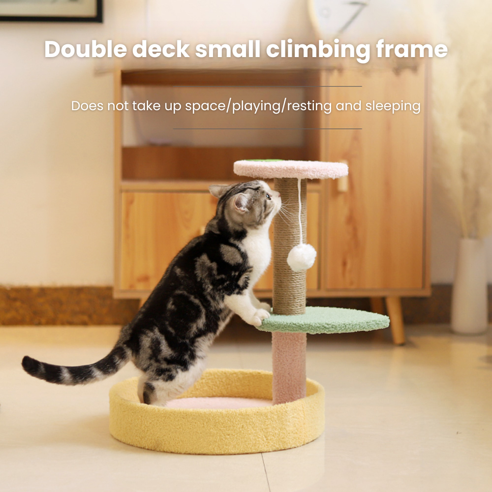 my-11134207-7rasc-mbggcume0d8pb8