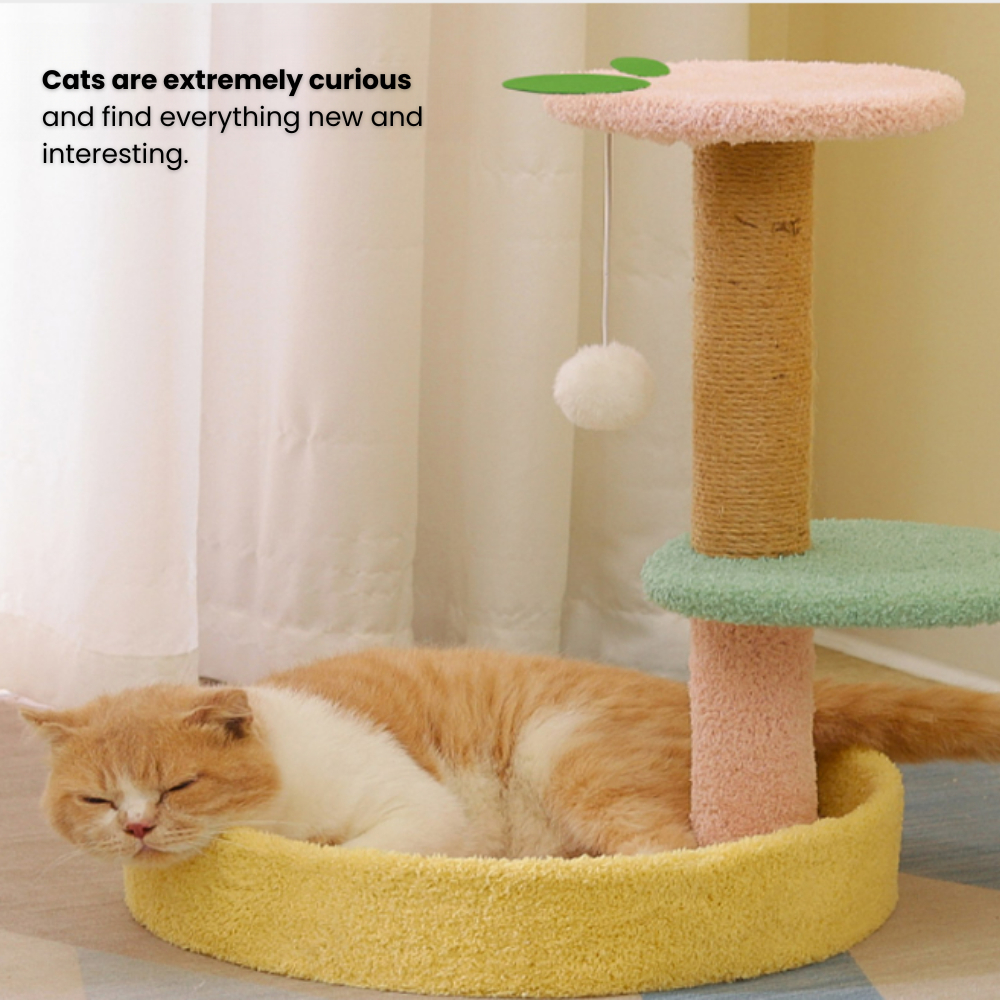 my-11134207-7rasf-mbggcuuzns2v42