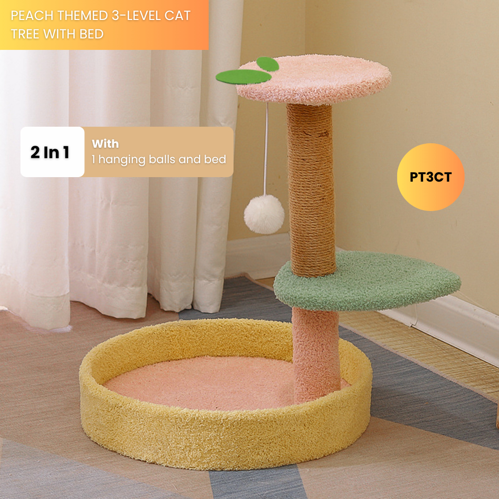 my-11134207-7rasi-mauoyy42j27q62