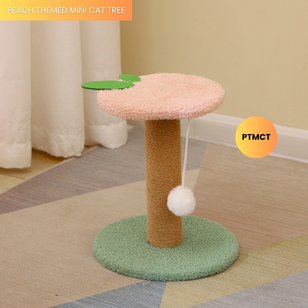 my-11134207-7rasa-mauoy9fmn6raeb