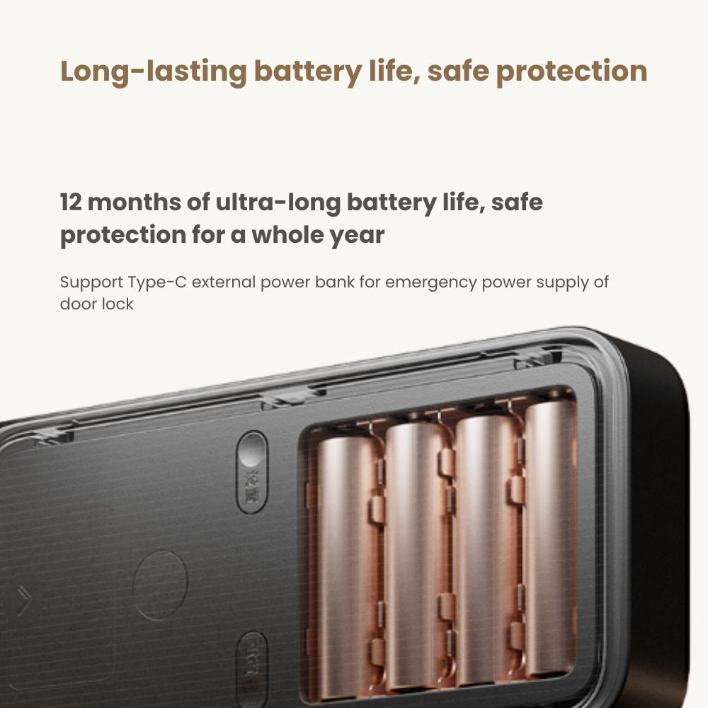 my-11134207-7rase-m3ejgrpdqv0cfe