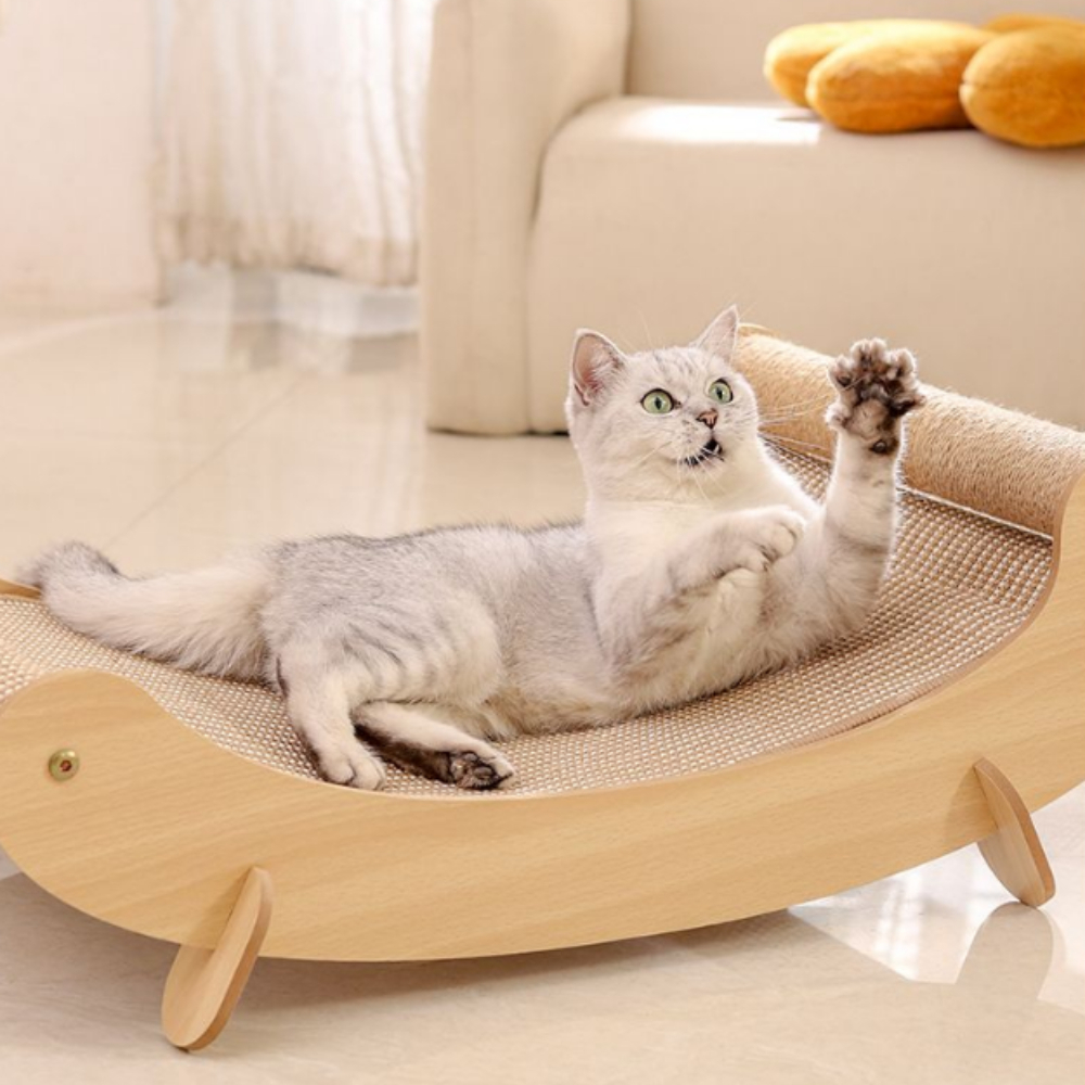 my-11134207-7rase-mbge8hzcb7hged