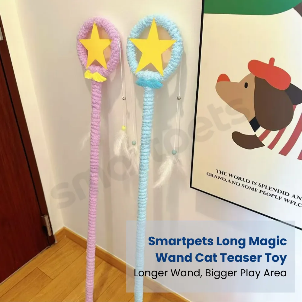 Smartpets draft 1 (19)