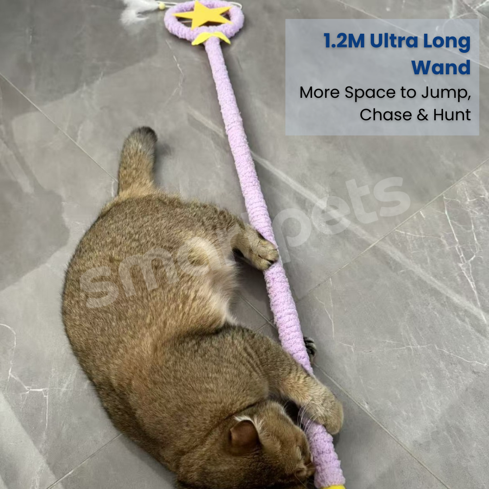 Smartpets draft 1 (20)