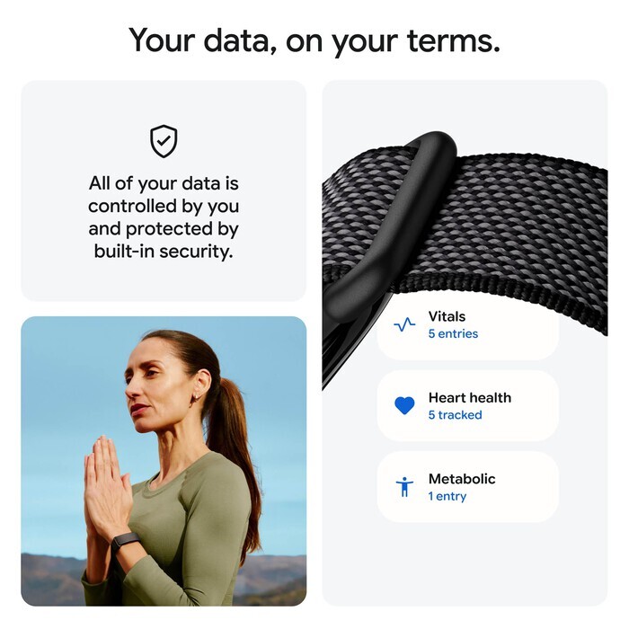 42711-Google-Fitbit-Air-Screenless-Fitness-and-Health-Tracking-Obsidian-LS-11