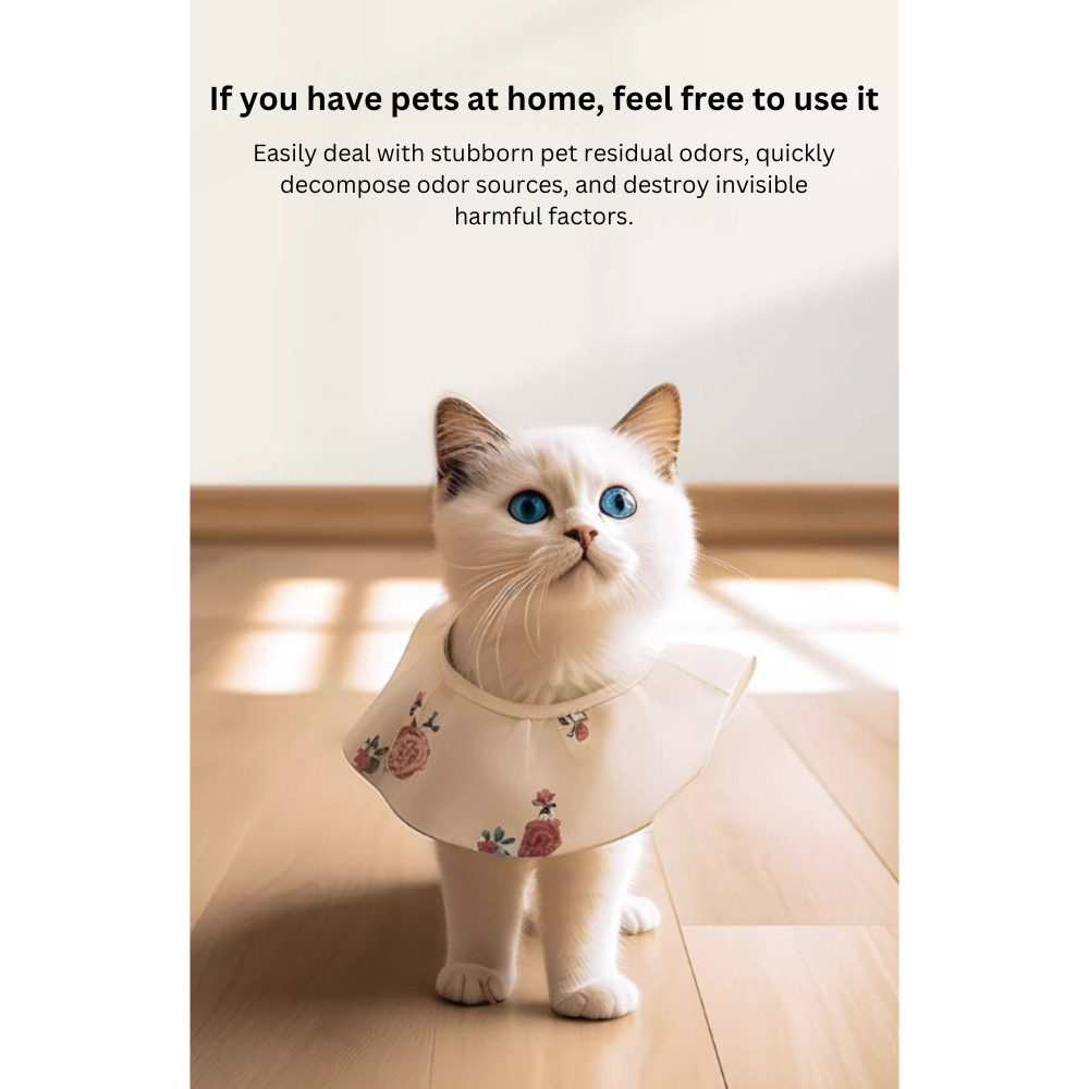 my-11134207-7r992-lvif0x6w8eik94