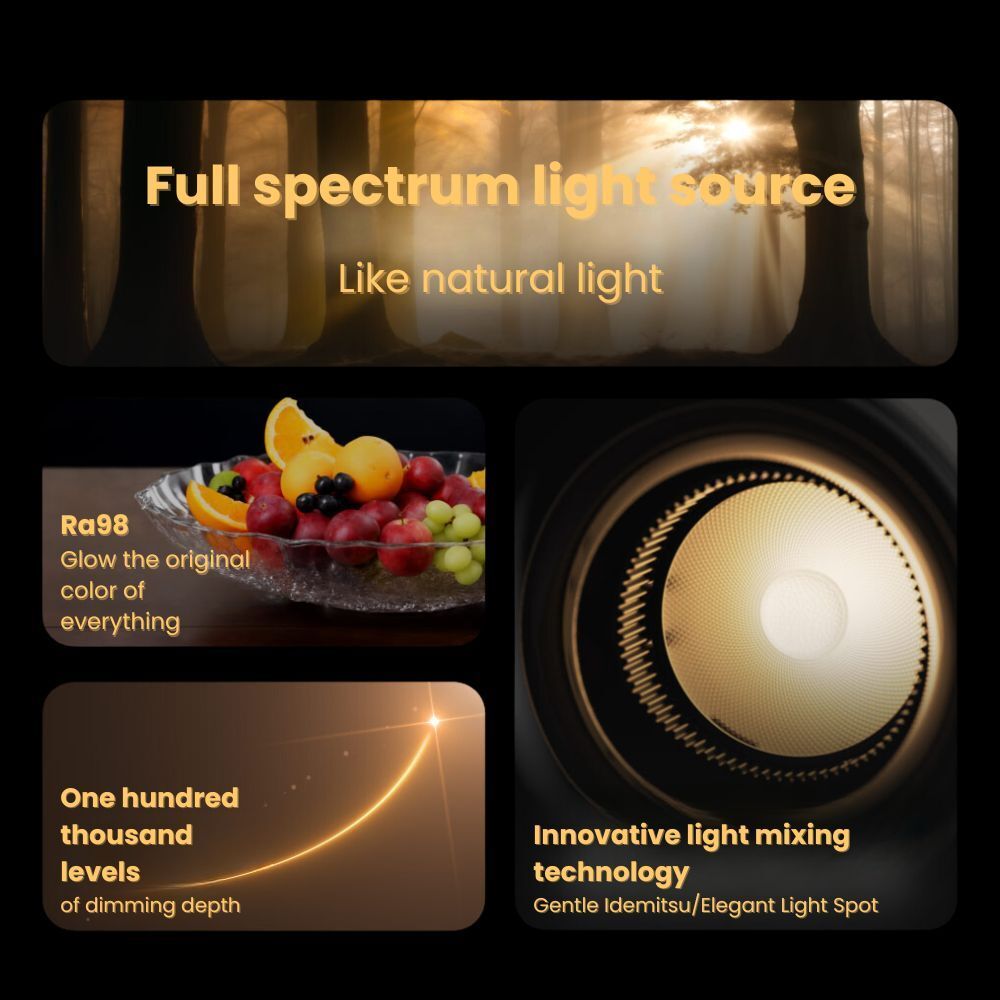 my-11134207-7rasi-m3a8zwq8zwqk74