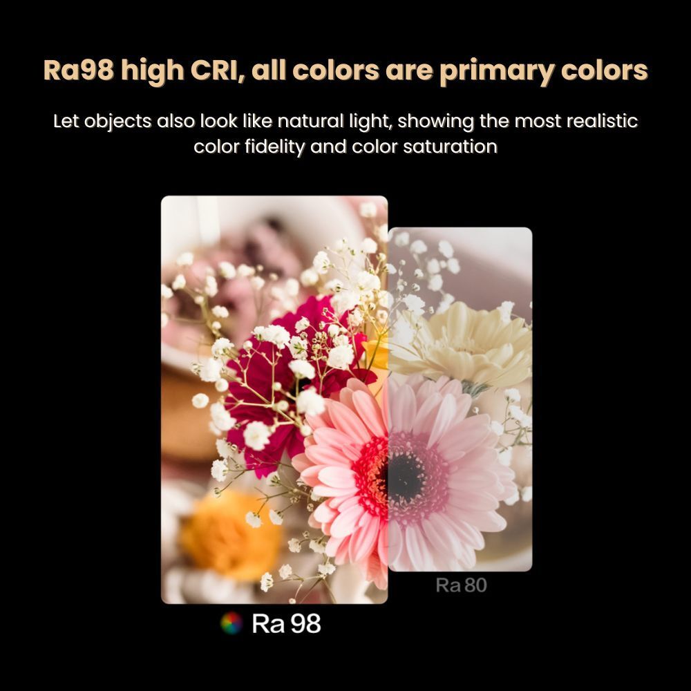 my-11134207-7rasf-m3a8zz48kbr0aa