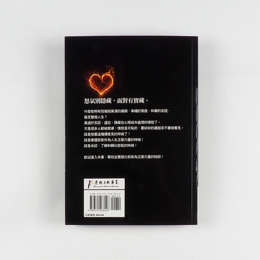 Chinese Books 003b.JPG