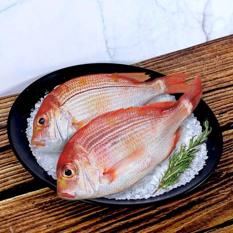 0121113297pic_outside_708797