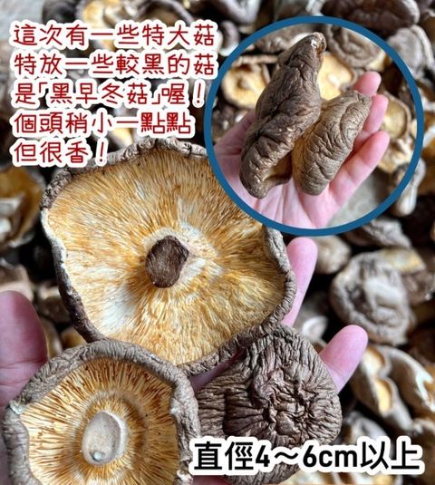 WhatsApp Image 2025-10-26 at 1.02.46 PM