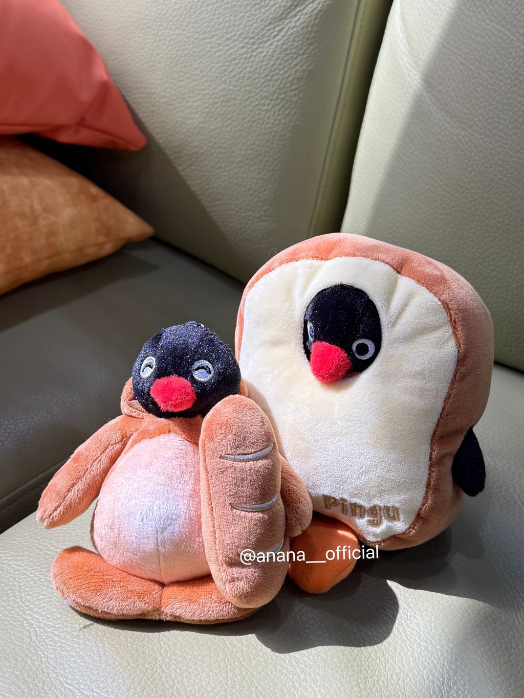 image_7307BEA6-7992-4597-B138-6B5EC21CF5EC_1748426271