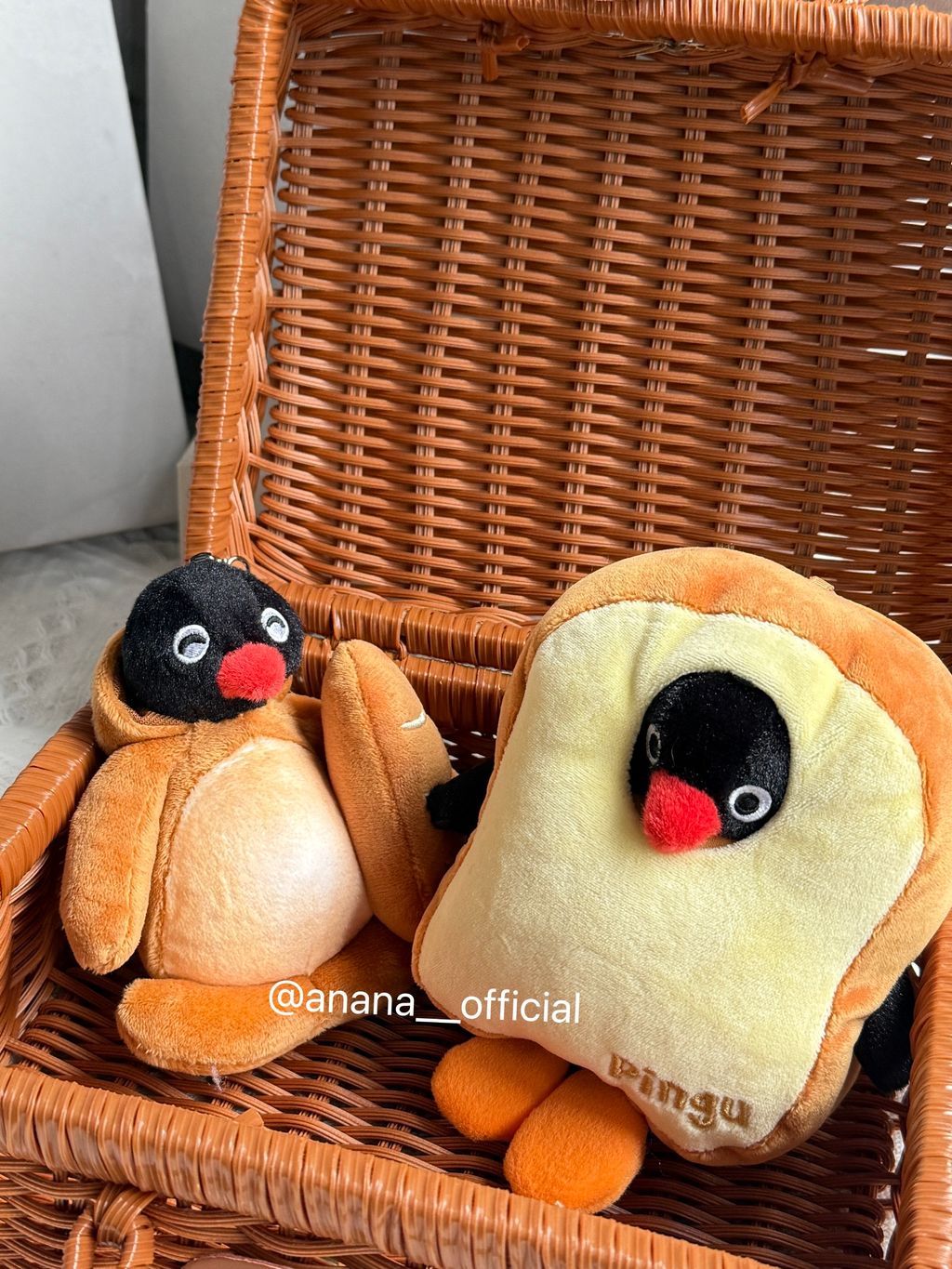 image_D300D98B-AD84-453D-9B9C-A96D708244D6_1748426271