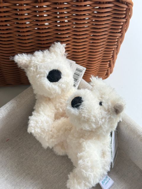 image_60D0F11E-DEAE-4B38-8D7B-31F86F380435_1756043933