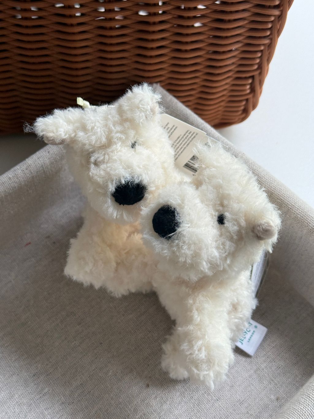 image_CE4CBFE7-0185-4EB8-BB17-1873F4B3D684_1756043933