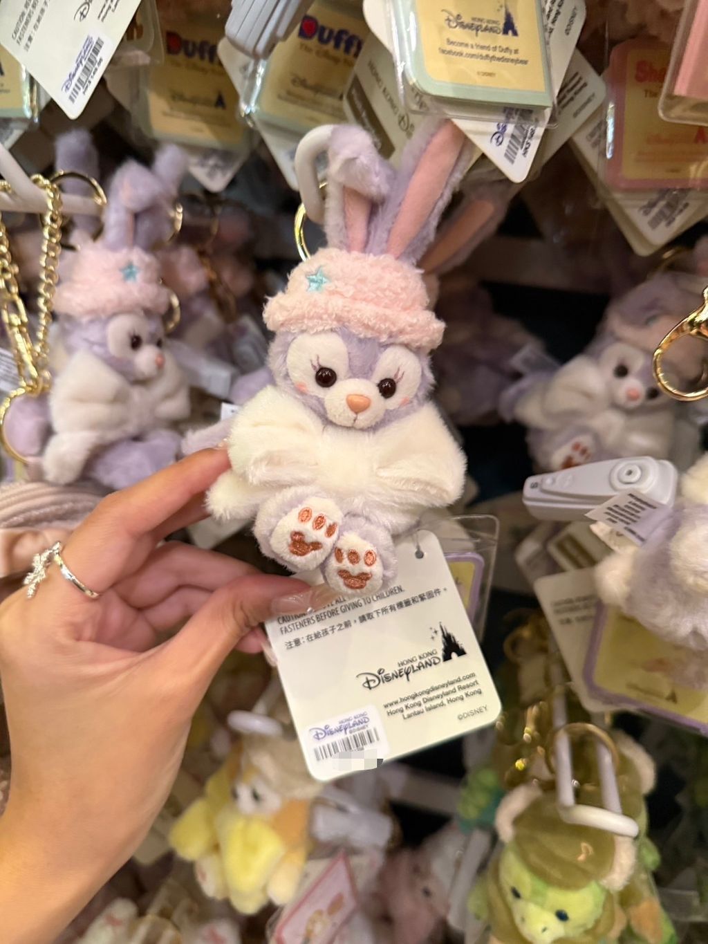 image_0D0DF675-32C1-421F-9BF0-155C930BFB72_1767149799