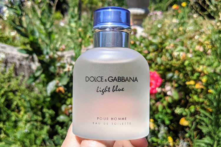 d&g light blue notes