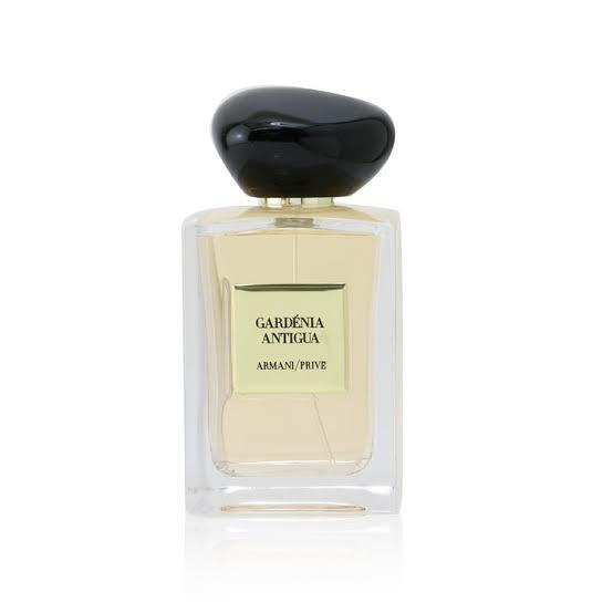 armani gardenia