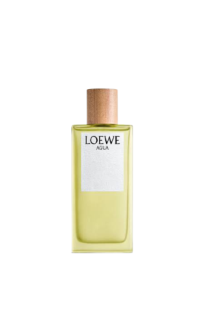 loewe perfume agua