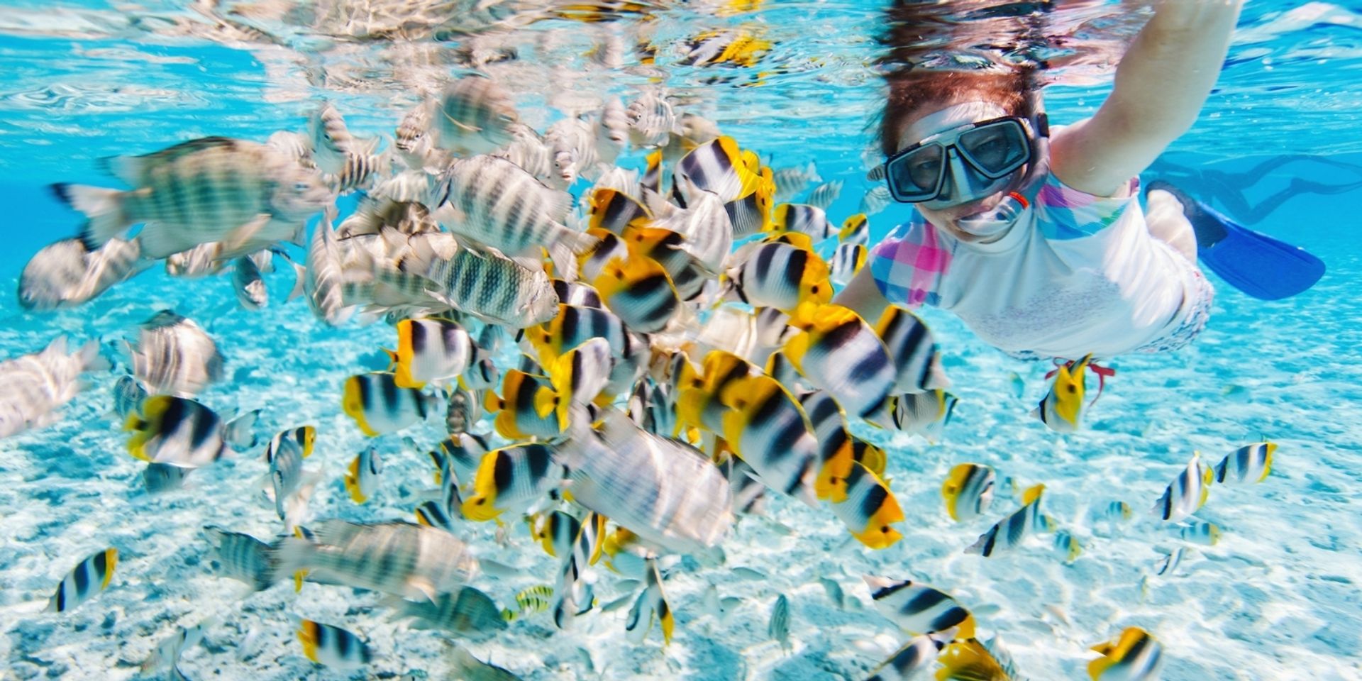 Langkawi Coral | SNORKELLING