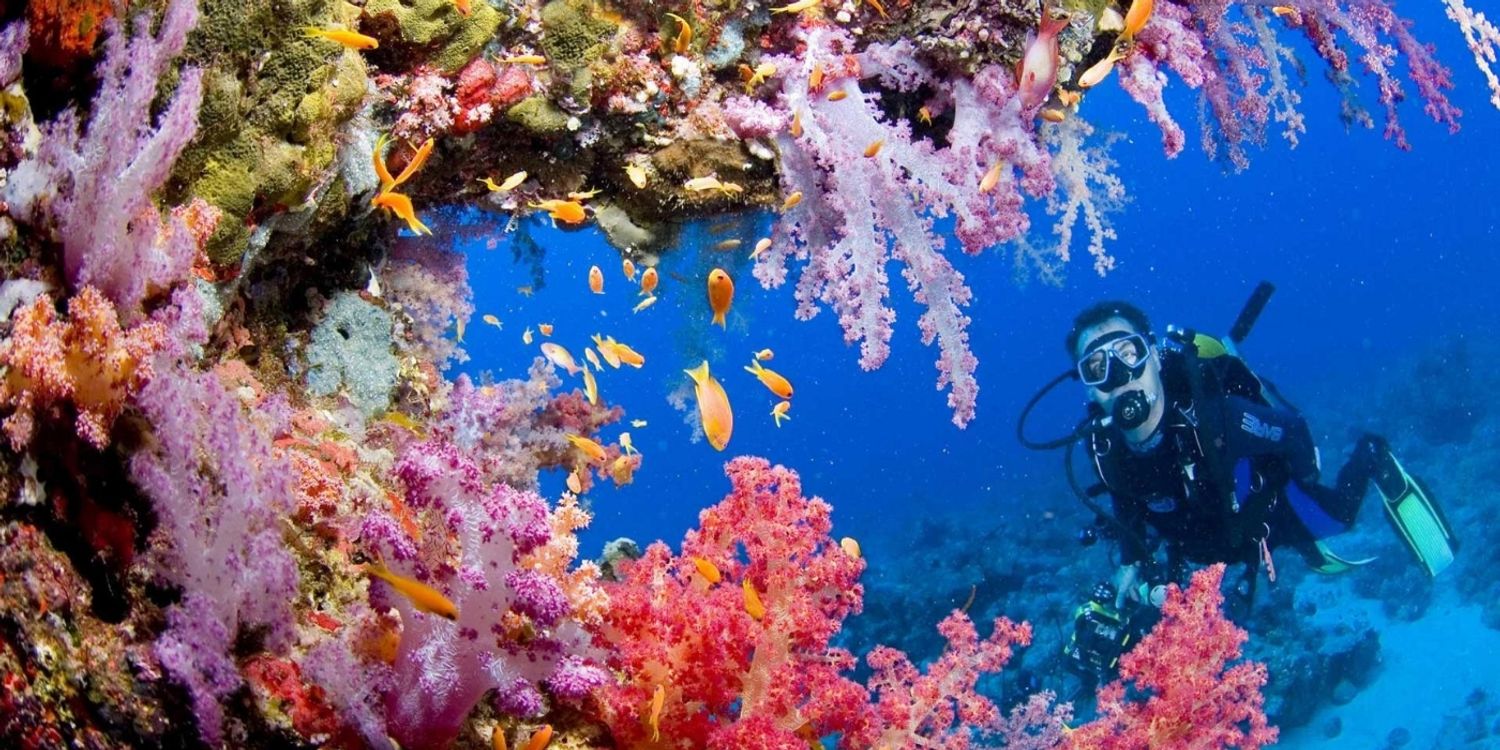 Langkawi Coral | SCUBA DIVING