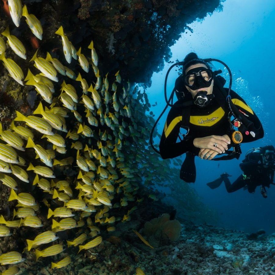 Langkawi Coral |  - SCUBA DIVING
