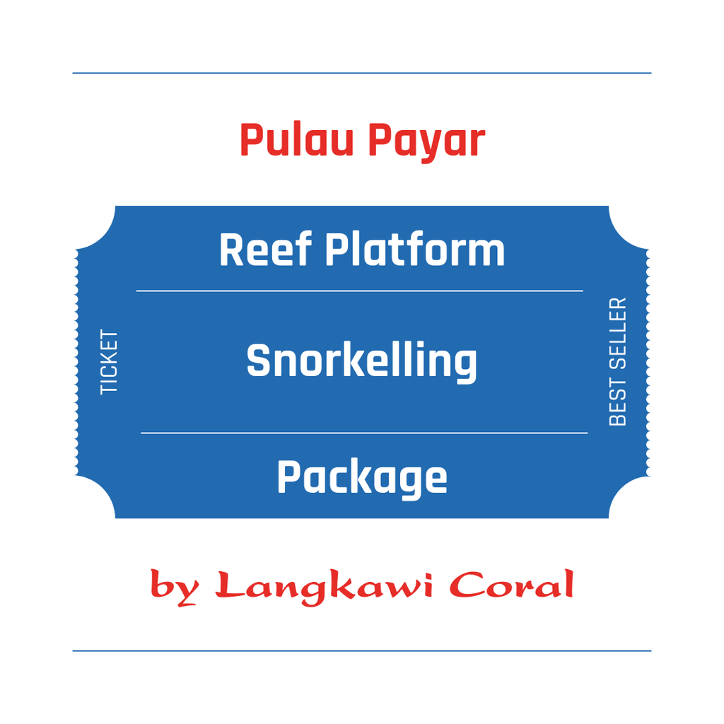 Reef Platform Snorkelling.png
