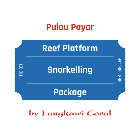 Reef Platform Snorkelling.png