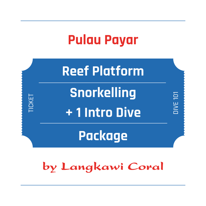 Snorkelling + Intro Dive.png