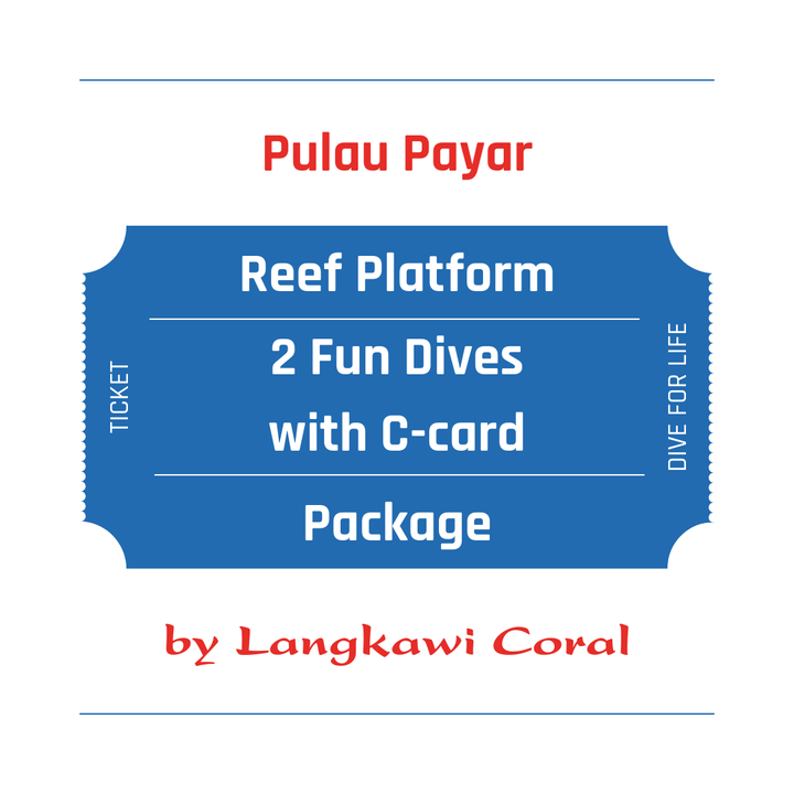 Fun Dives.png
