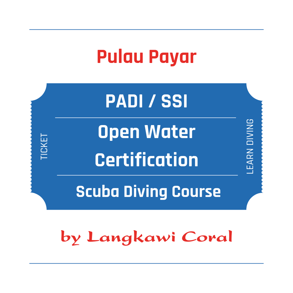 Scuba Diving Course.png