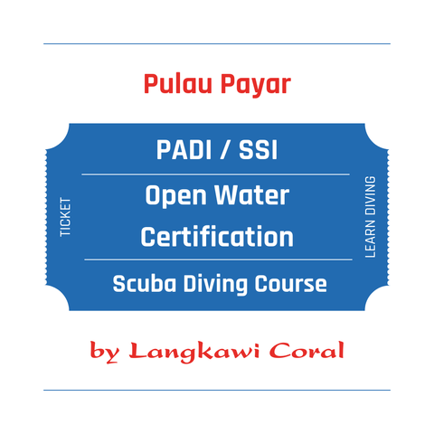 Scuba Diving Course.png