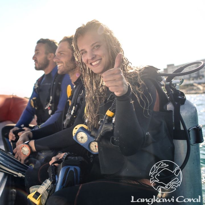 Diving 2.jpg