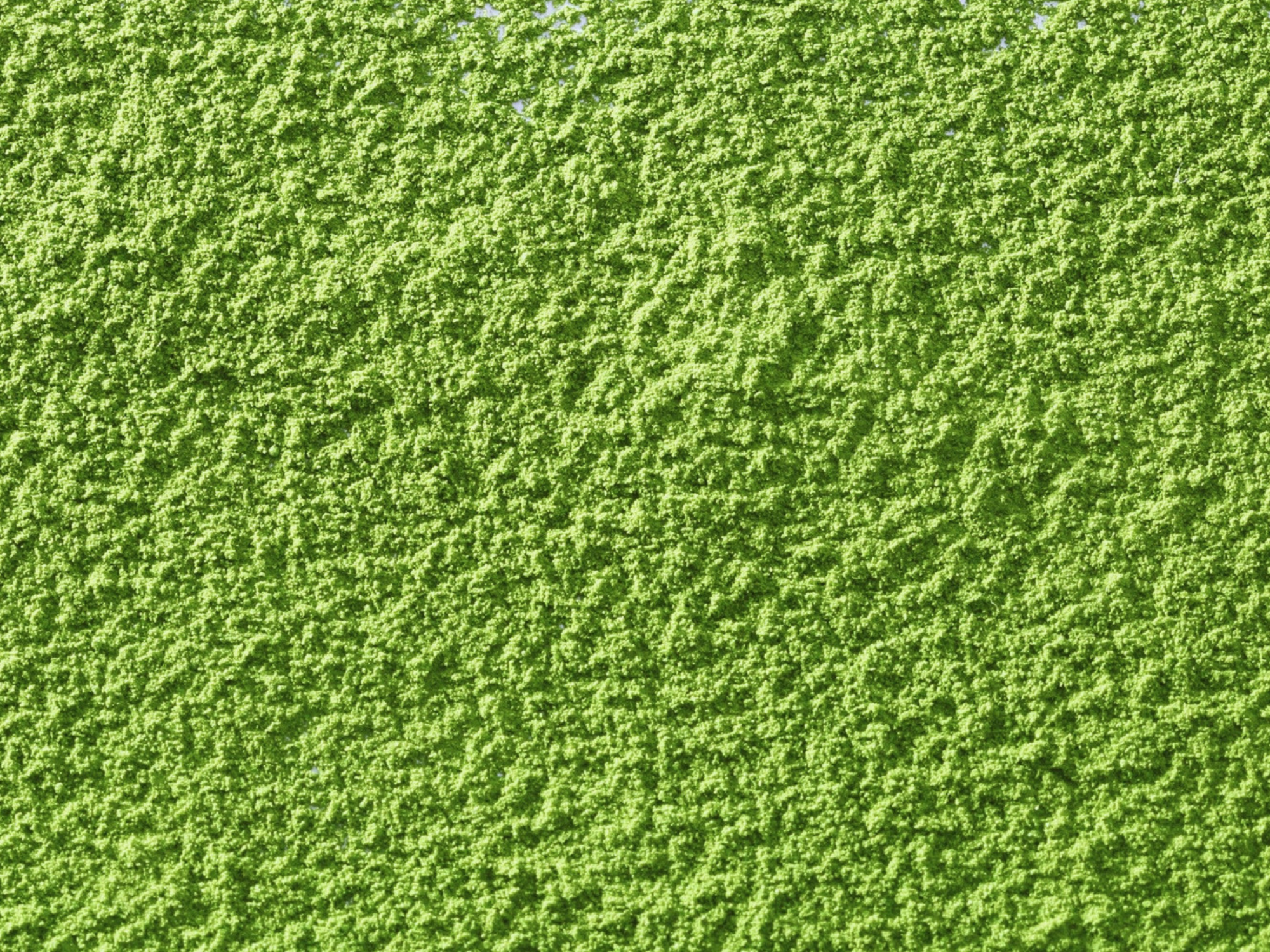 Davon Matcha