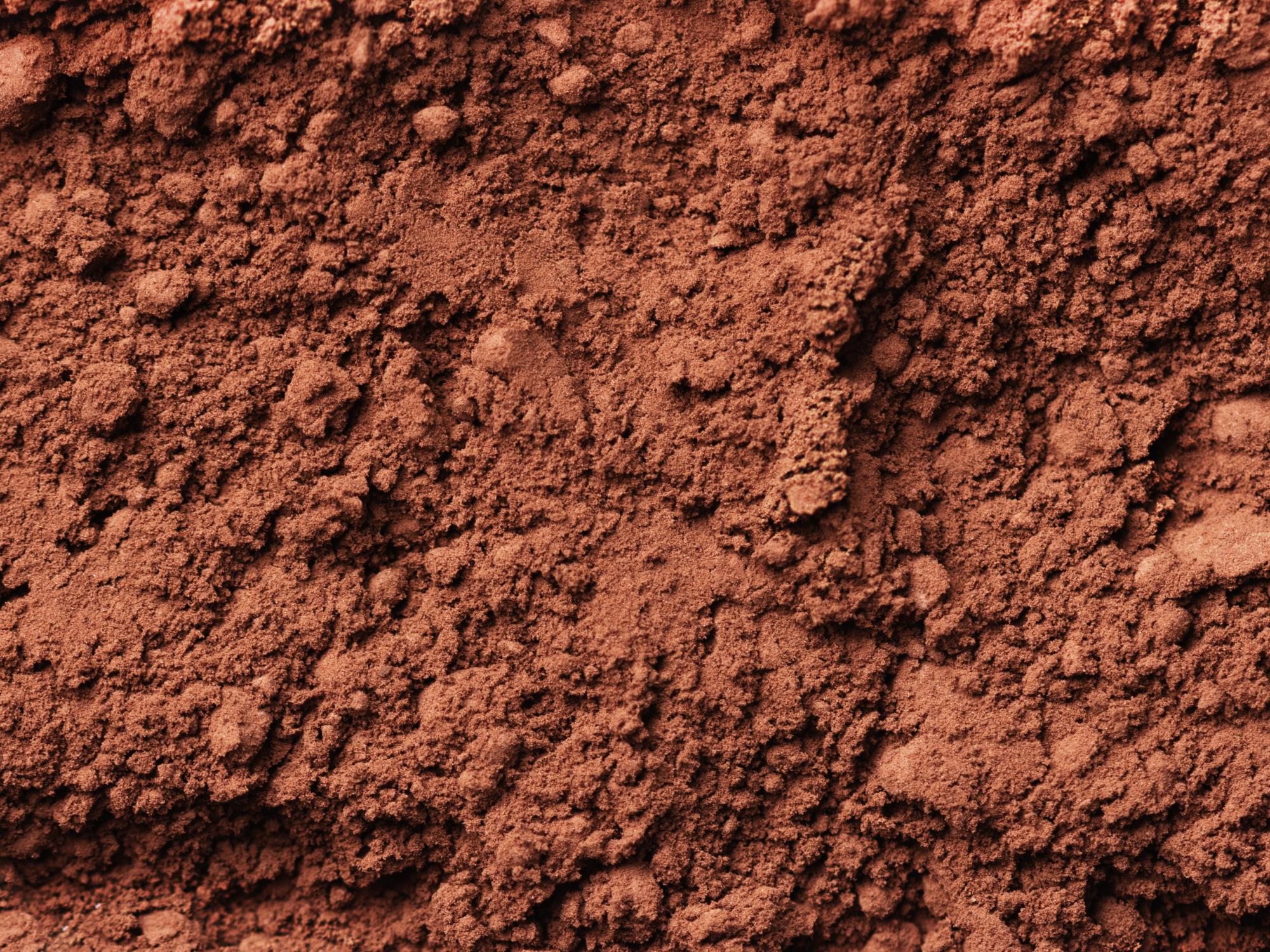 Chocolate and cocoa beverage powders