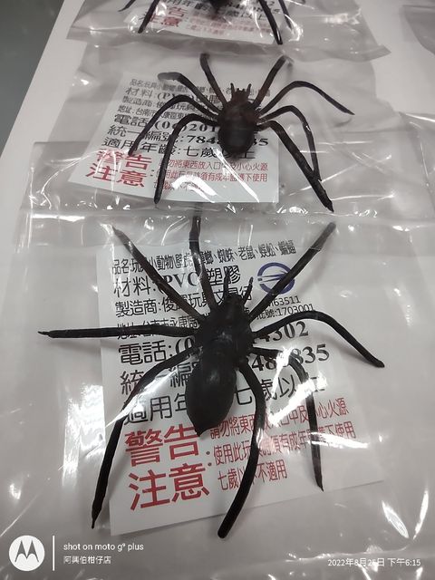 IMG_20220825_181521099