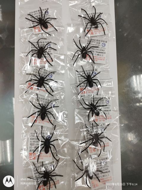 IMG_20220825_181437935