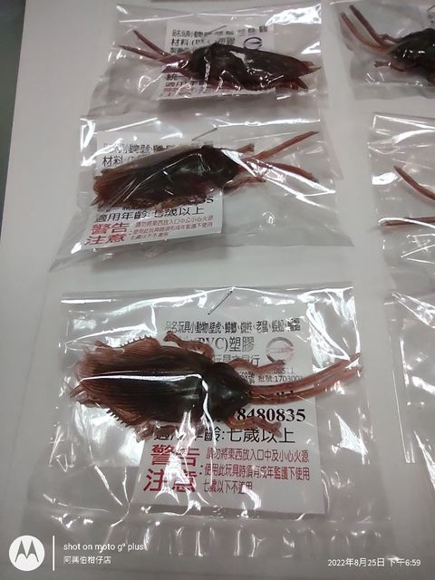 IMG_20220825_185922679