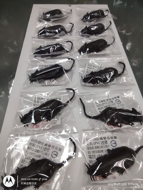 IMG_20220825_185530760