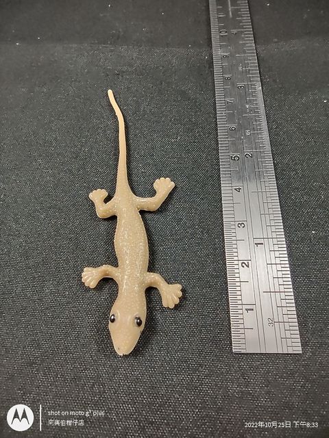 IMG_20221025_203338340_HDR