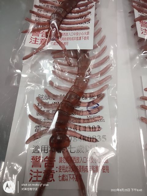 IMG_20220825_184332600