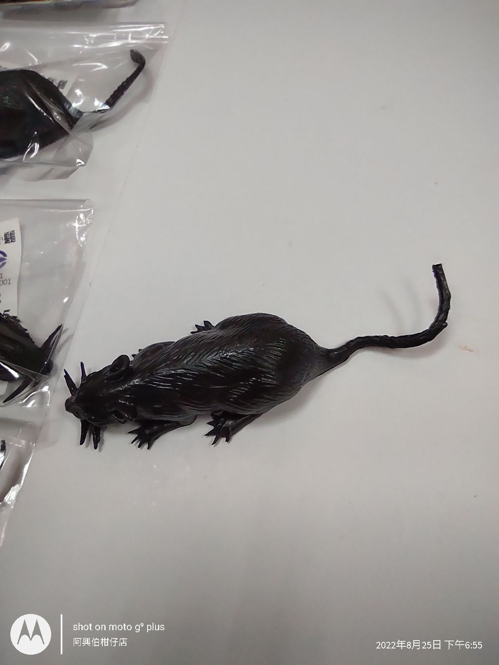 IMG_20220825_185548954