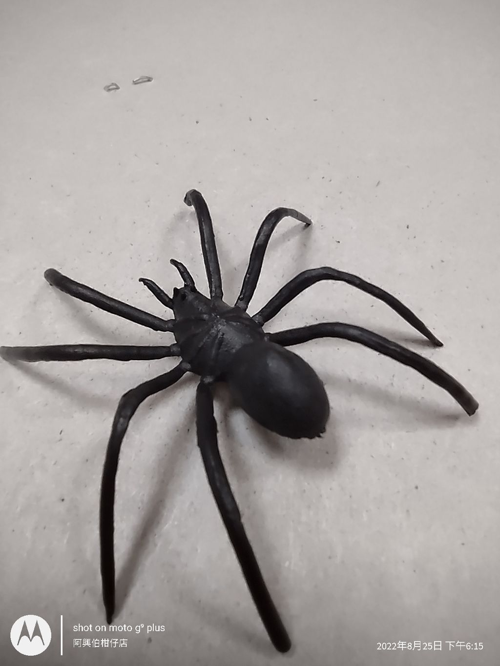 IMG_20220825_181540485