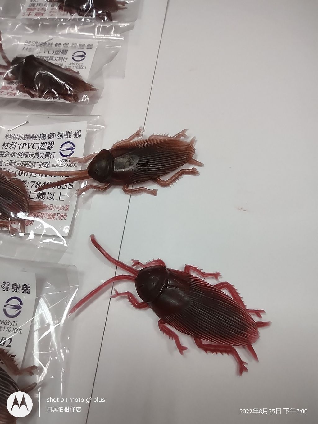 IMG_20220825_190039495