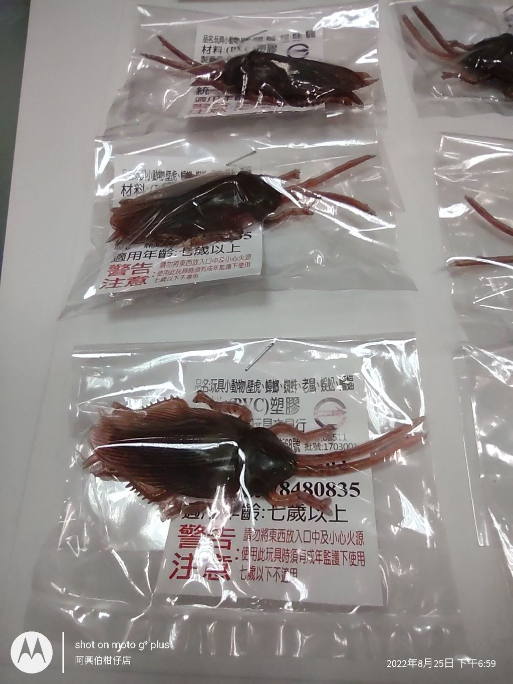 IMG_20220825_185922679