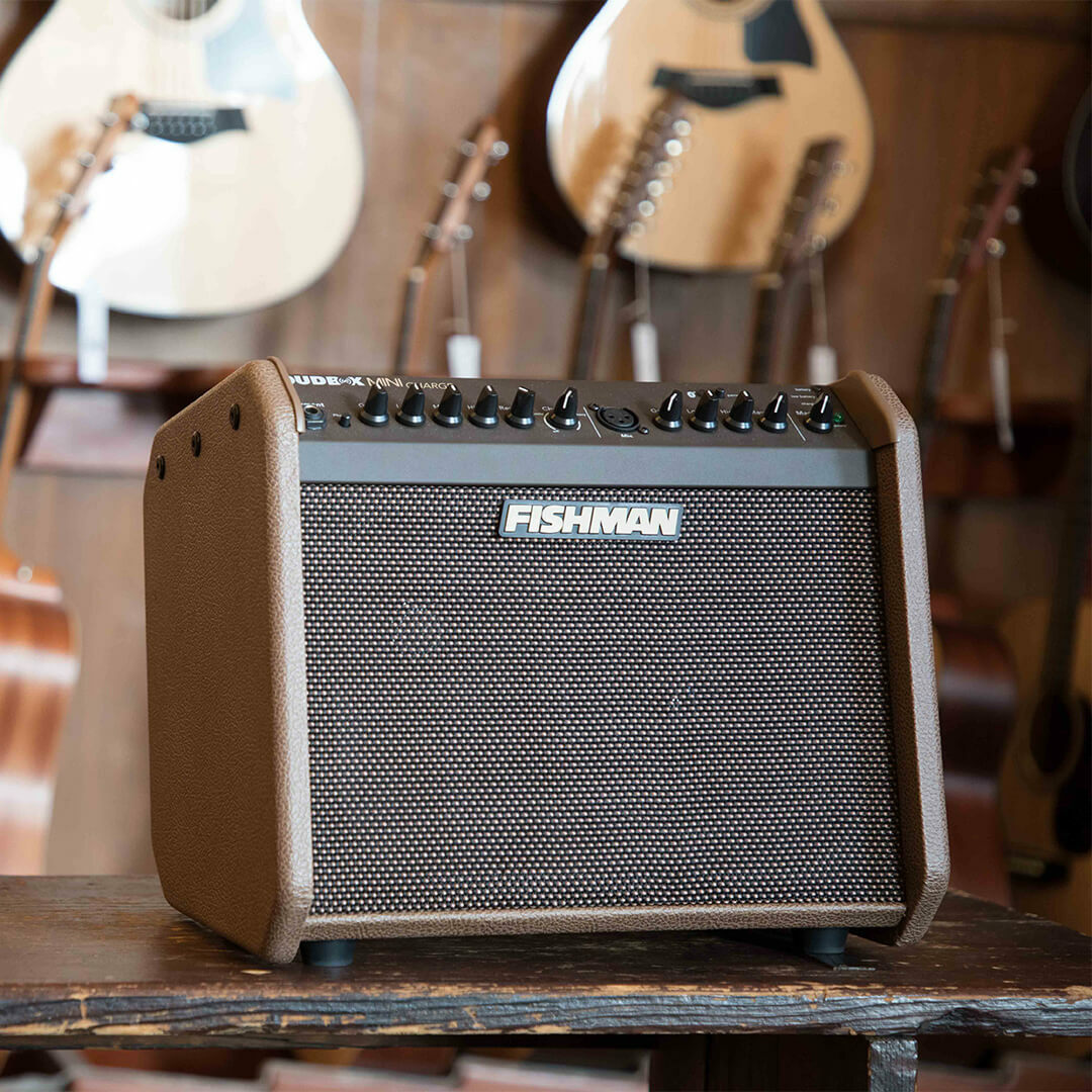 Fishman-Loudbox-Mini-Charge-acoustic-amp-gal3.jpg