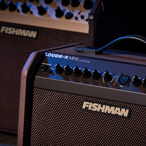 fishman-loudbox-mini-charge-controls-600.jpg