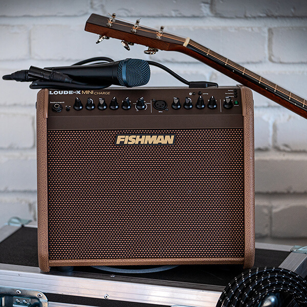 fishman-loudbox-mini-charge-mic-and-acoustic-600.jpg